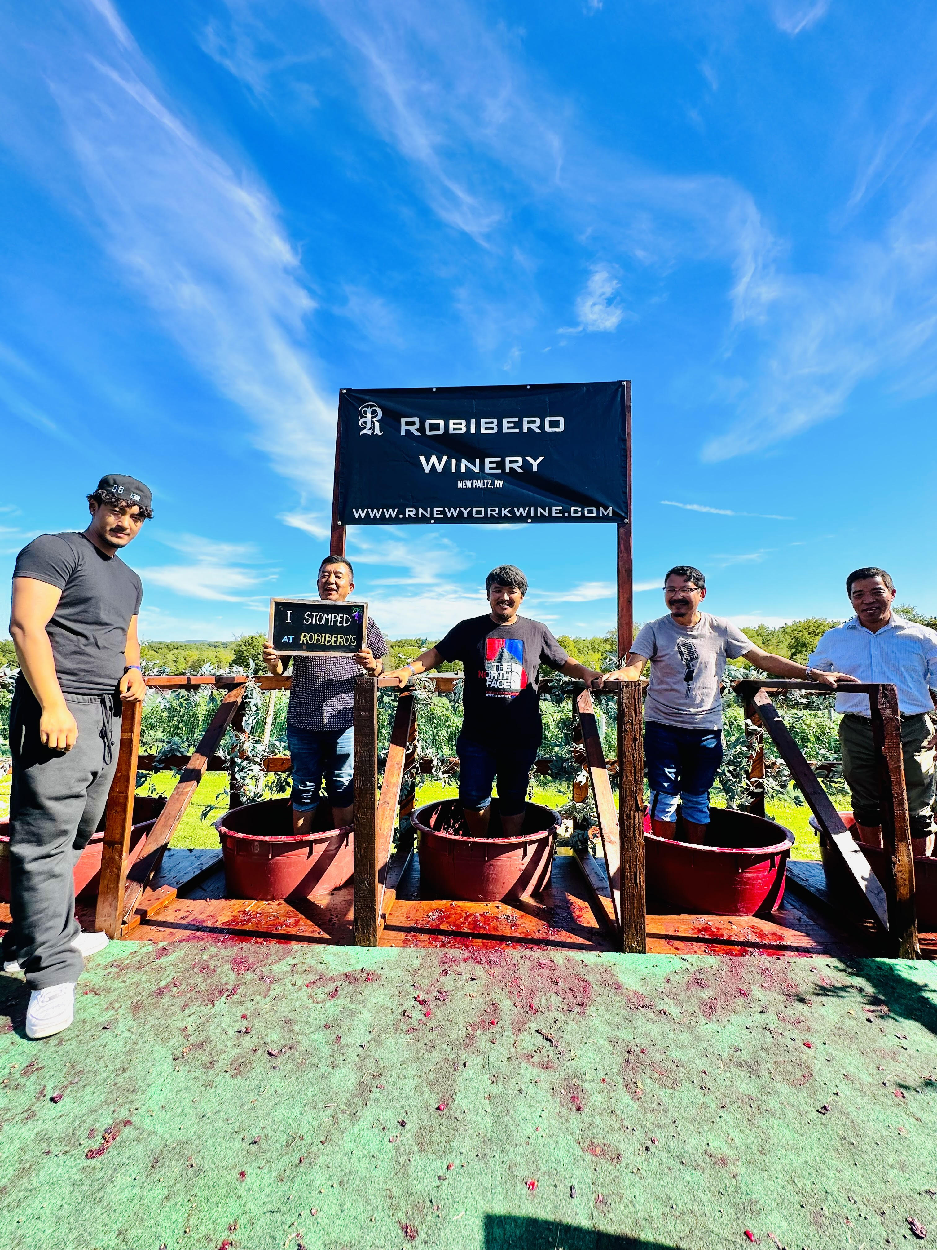 Wine tasting gathering